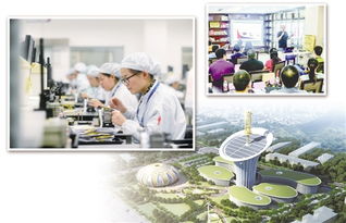 武漢東湖新技術開發區政務網技術開發 構建智慧政務新引擎